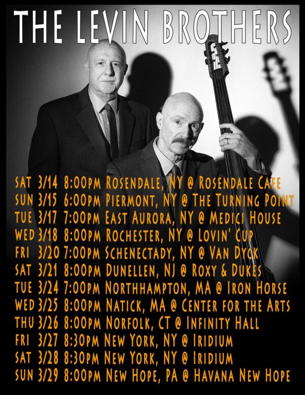 The Levin Brothers @ The Van Dyck (March 20, 2015)